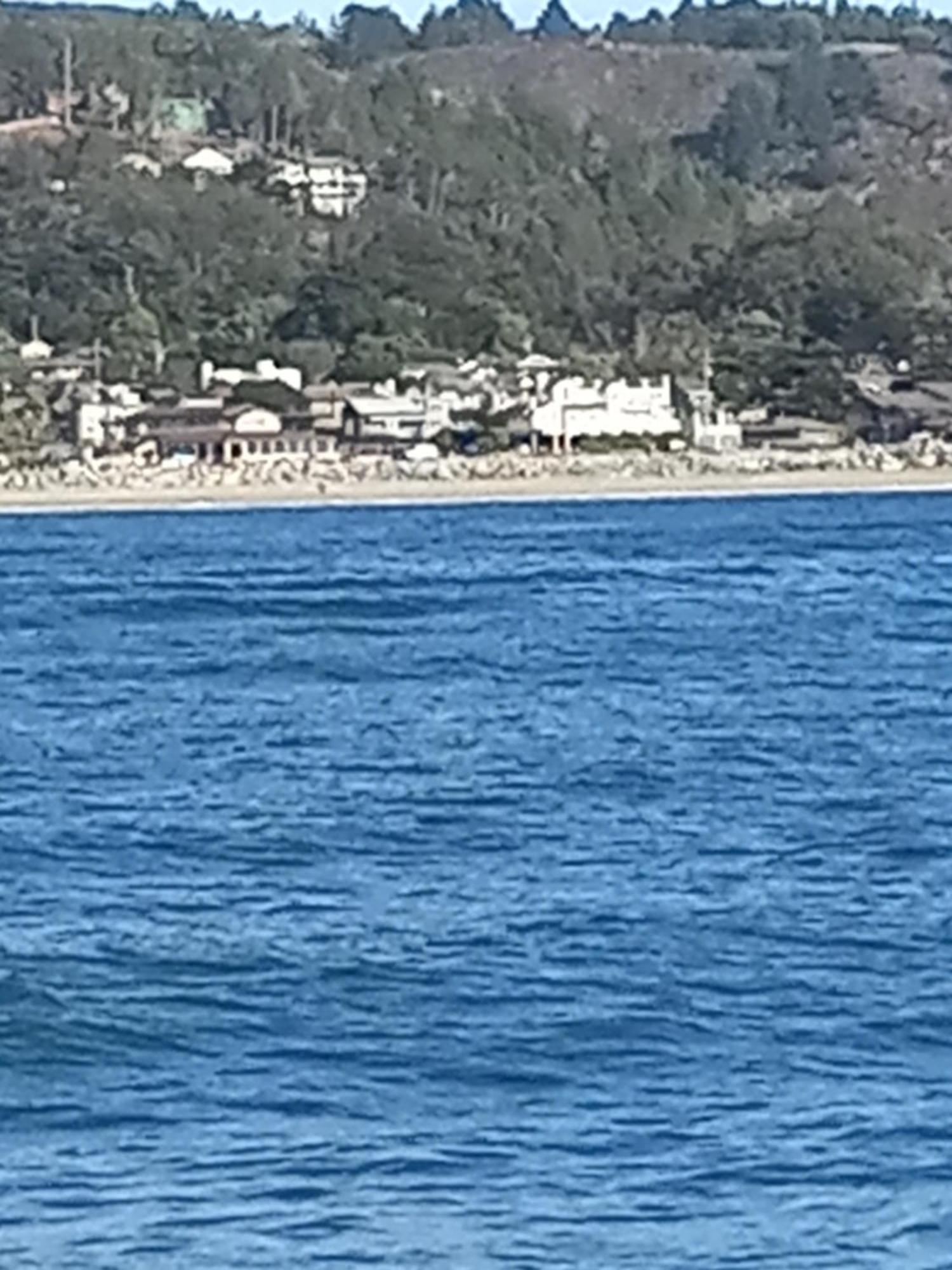 The Oceanfront Stay On Miramarbeach Hmb El Granada エクステリア 写真